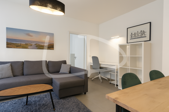 Salon 3 - Strassen .png